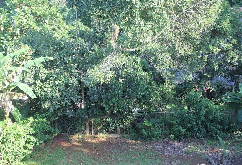 تختخواب و صبحانه Ritashomeawayfromhome