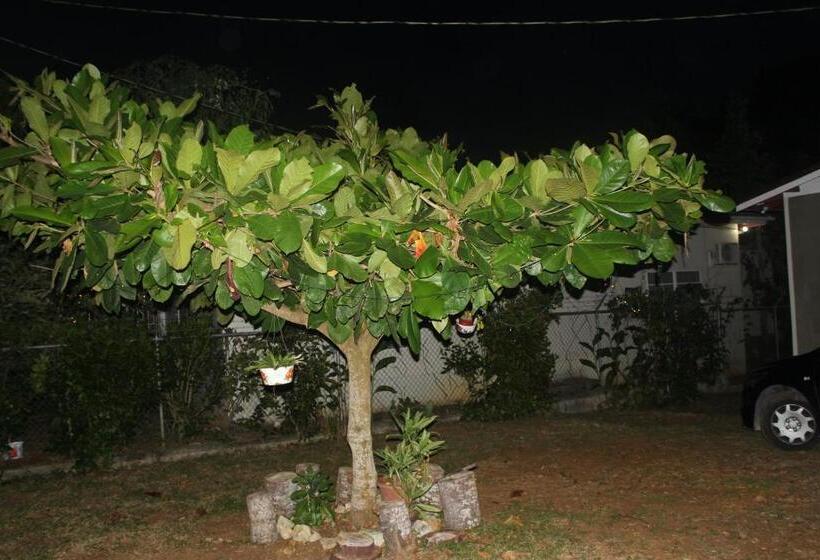 تختخواب و صبحانه Ritashomeawayfromhome