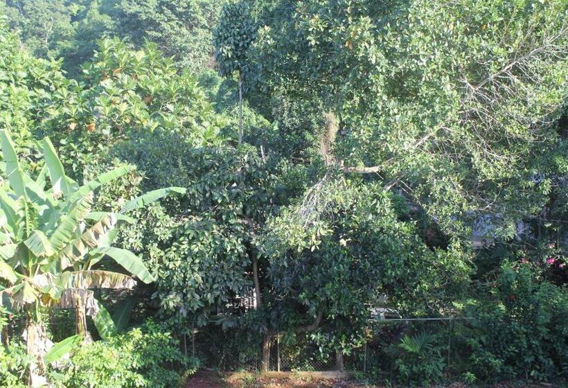 تختخواب و صبحانه Ritashomeawayfromhome