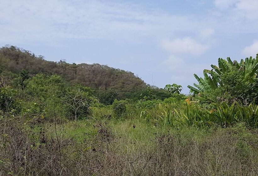 El Gecko Hotel & Tours