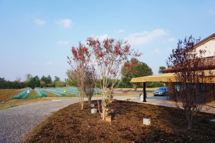 호텔 Agriturismo Campogrande