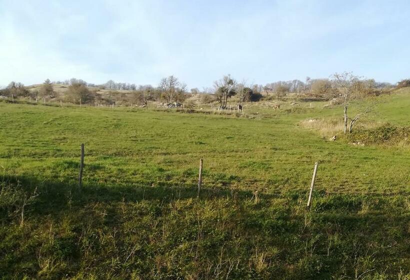 ホテル Guado Cannavina