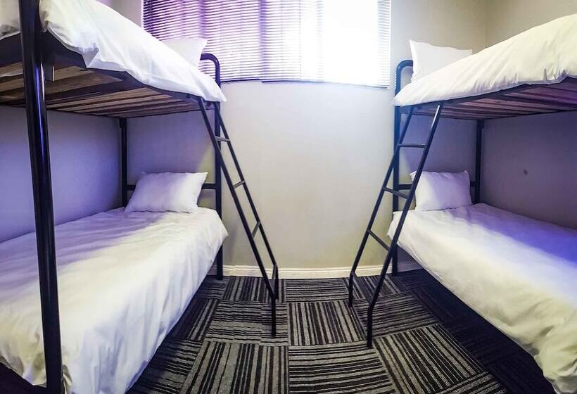 Island Vibe Port Elizabeth   Hostel