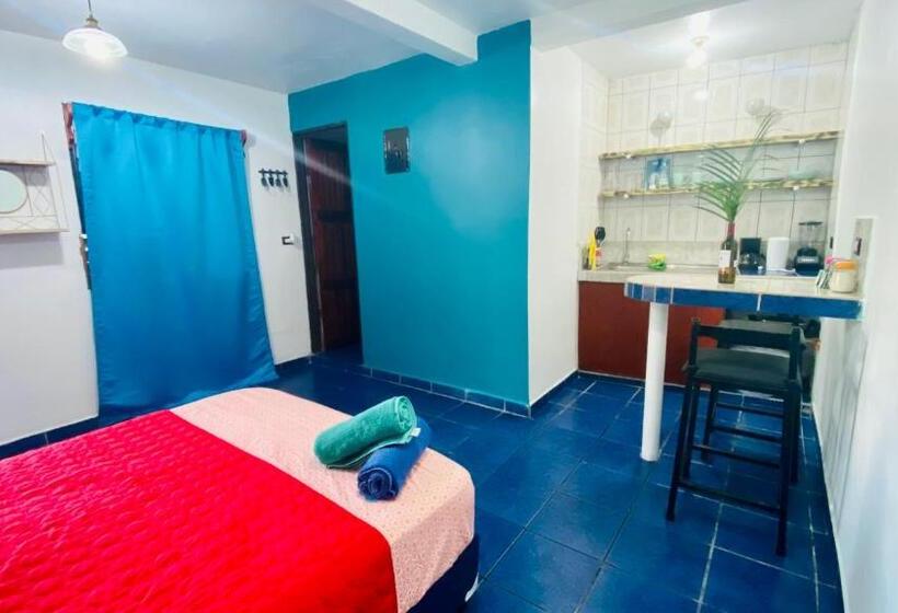 ユースホステル Nomada S Digital