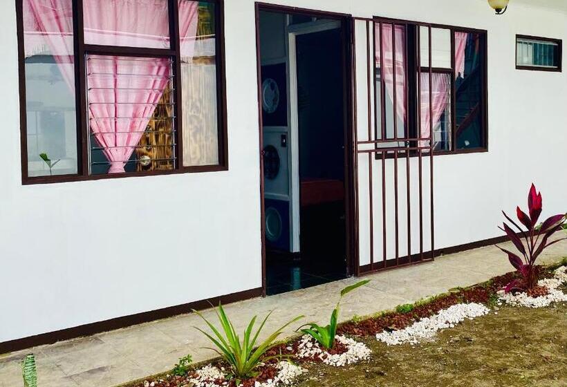 ユースホステル Nomada S Digital