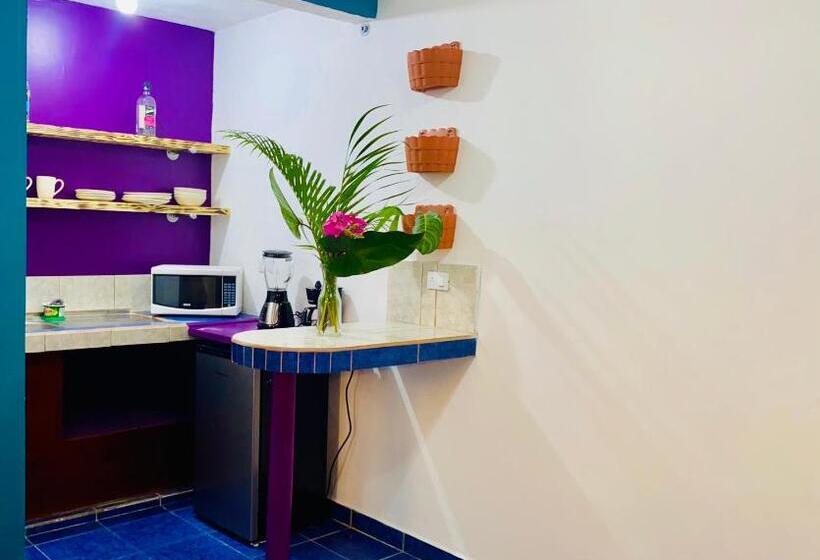 ユースホステル Nomada S Digital