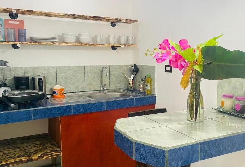 ユースホステル Nomada S Digital