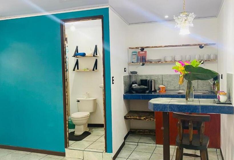 ユースホステル Nomada S Digital