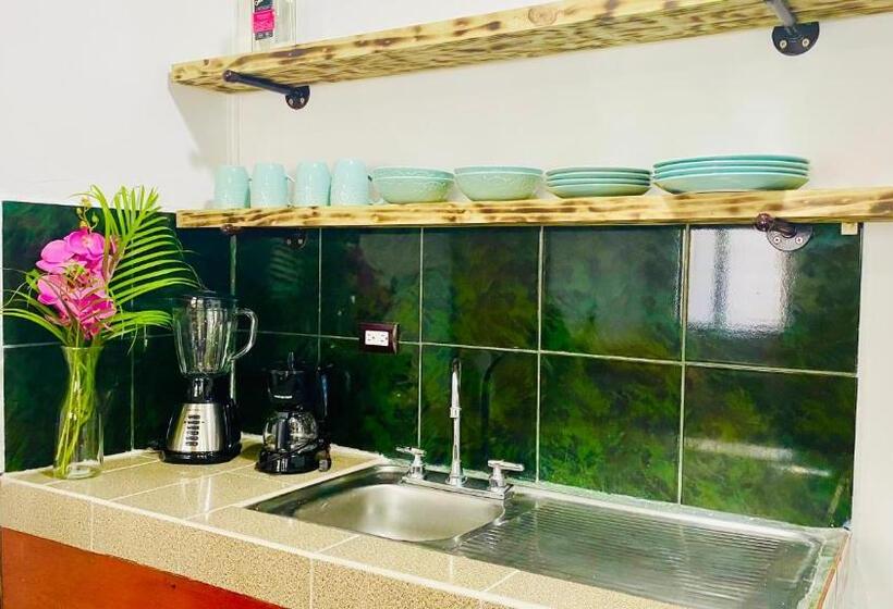 ユースホステル Nomada S Digital