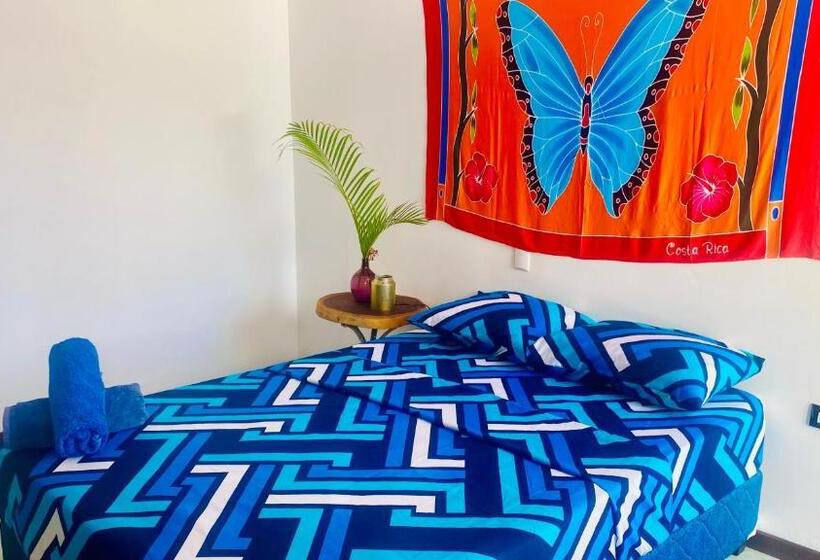 ユースホステル Nomada S Digital