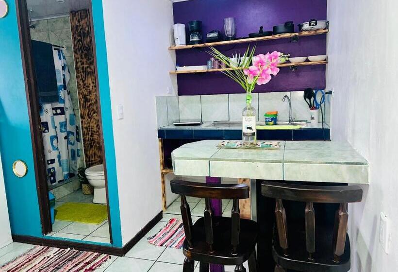 ユースホステル Nomada S Digital