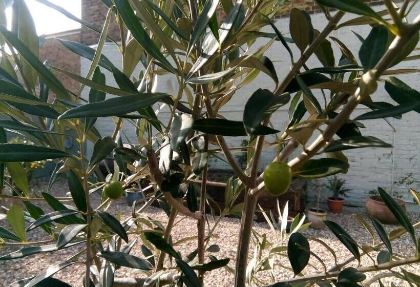 住宿加早餐  Rosslyn Court