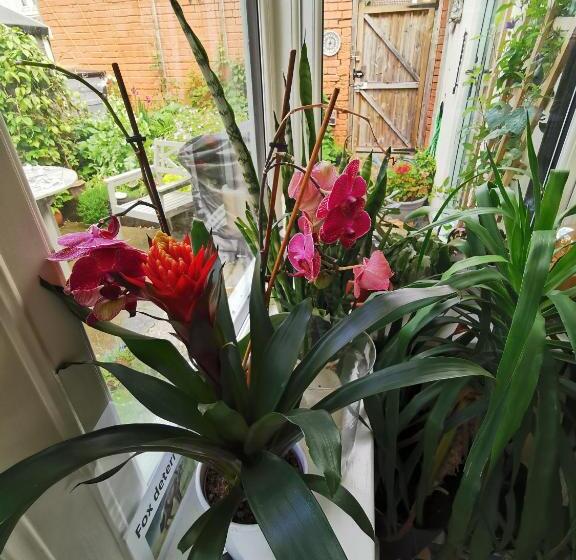 住宿加早餐  Rosslyn Court