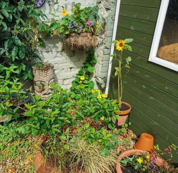 住宿加早餐  Rosslyn Court