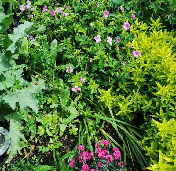 住宿加早餐  Rosslyn Court