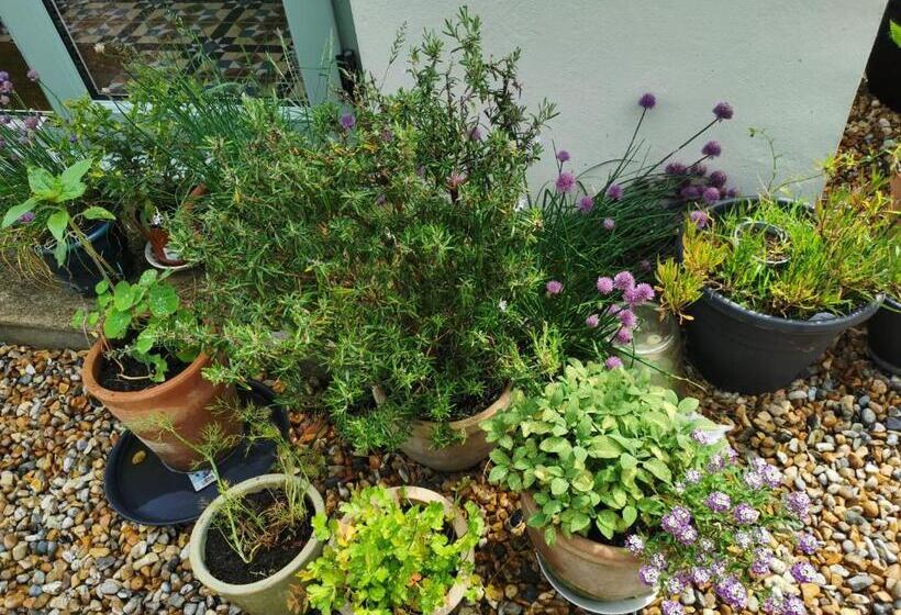 住宿加早餐  Rosslyn Court