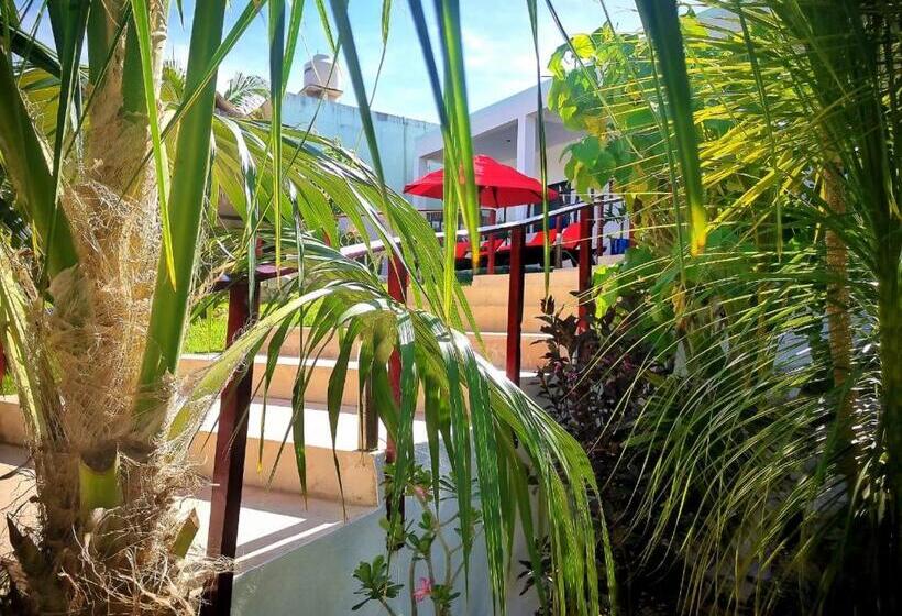 هتل Mayan Majesty Boutique