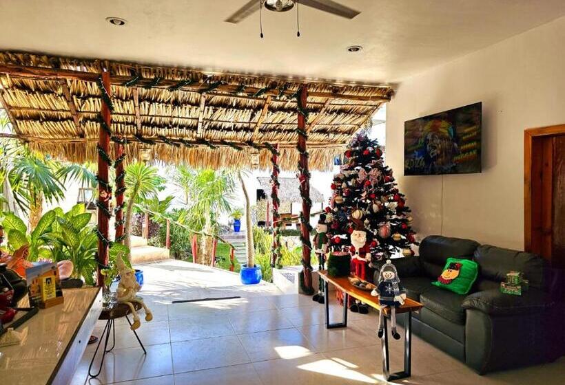 هتل Mayan Majesty Boutique