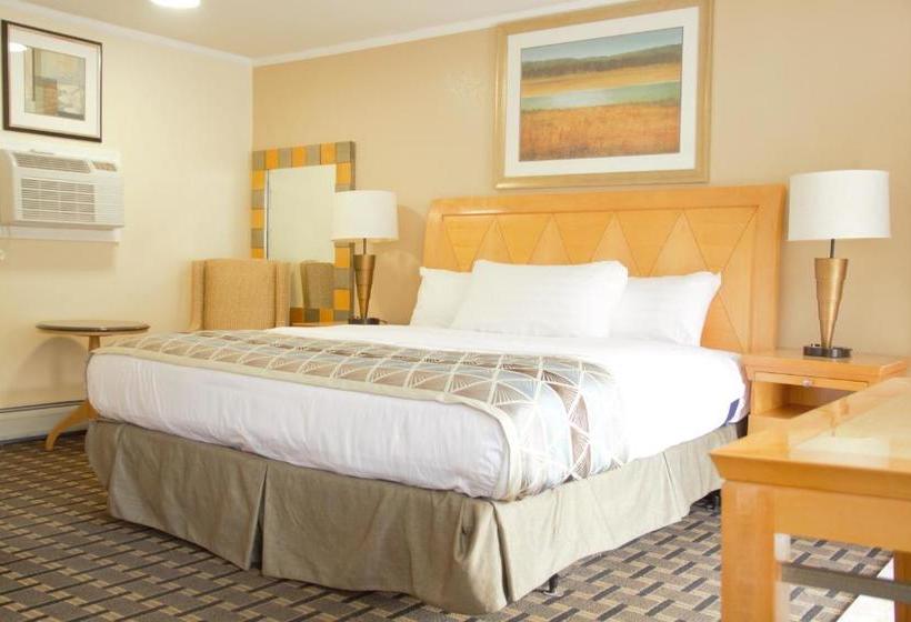 酒店 Mount Royal Inn