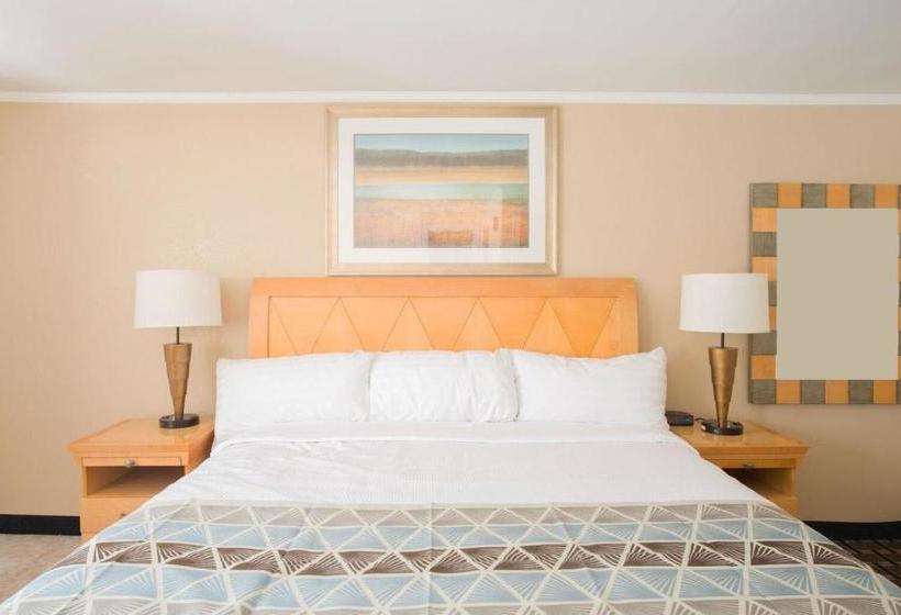 酒店 Mount Royal Inn