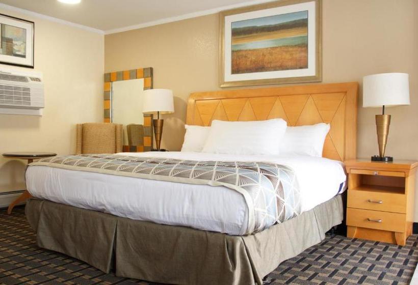 酒店 Mount Royal Inn