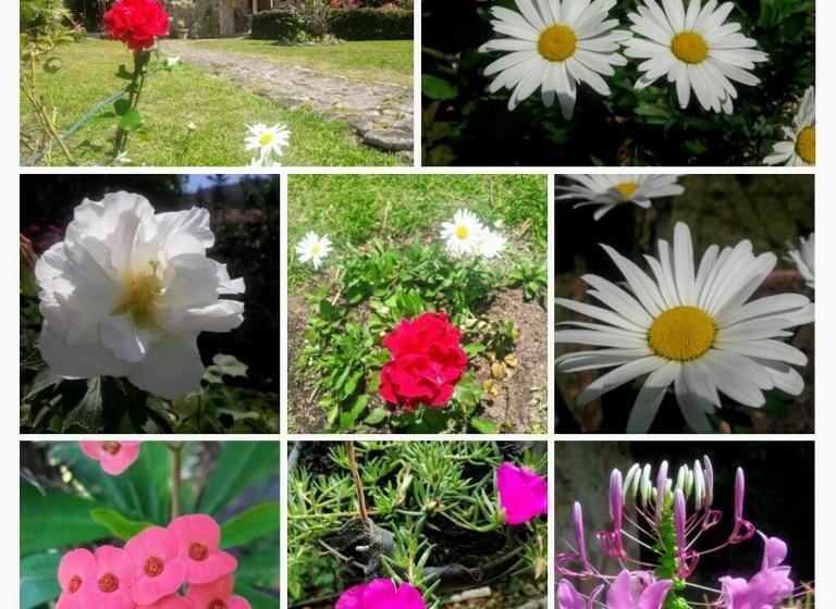 פנסיון Valle Paradise