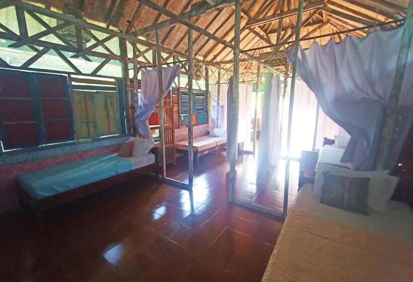 הוסטל Lovina Loca