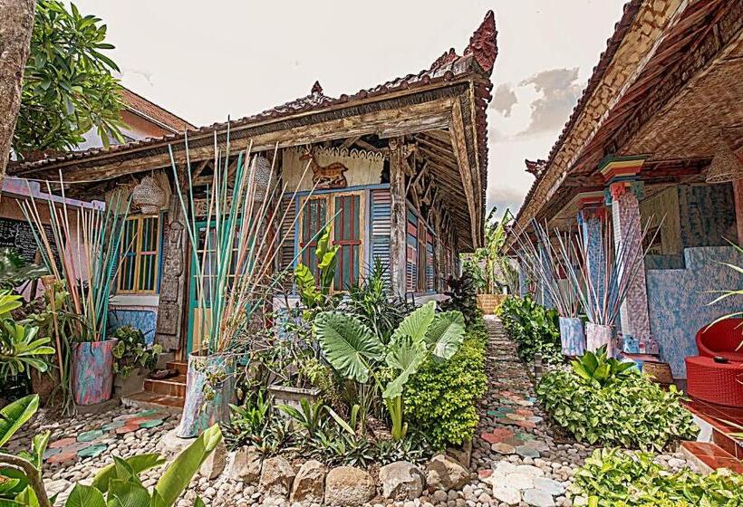 הוסטל Lovina Loca