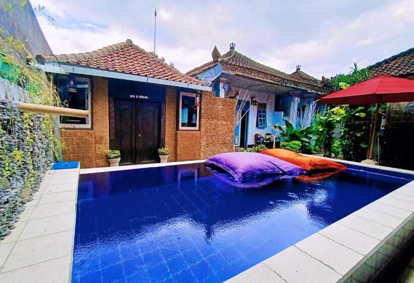 הוסטל Lovina Loca