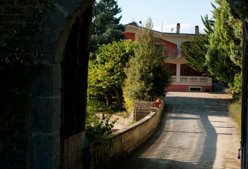 ホテル Agriturismo Petrilli