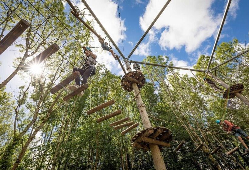 Отель Avalon House