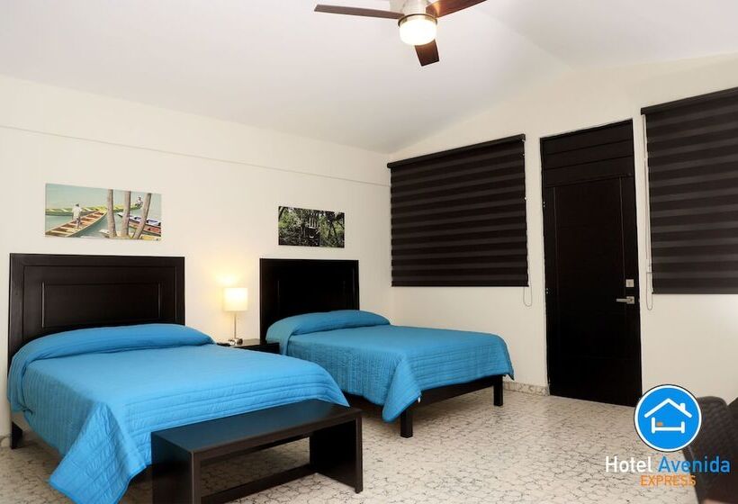 酒店 Avenida Express