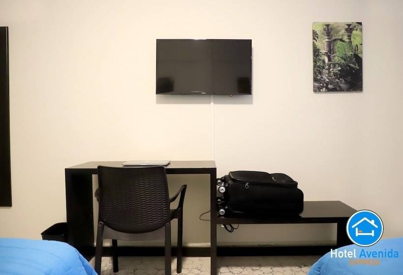 酒店 Avenida Express