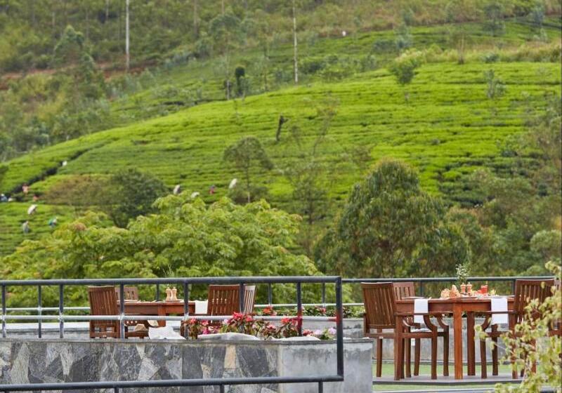 Отель The Argyle Luxury Boutique