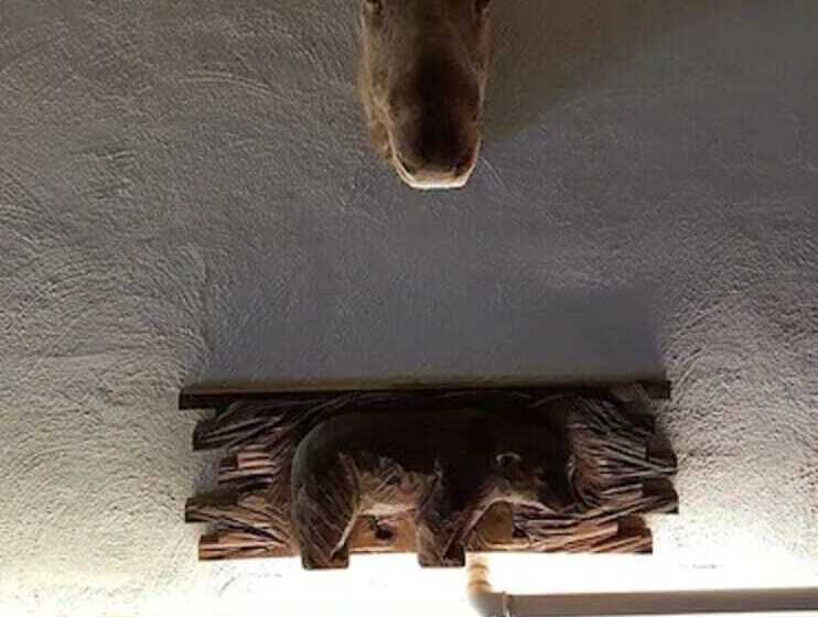 酒店 Vats Fjellstue