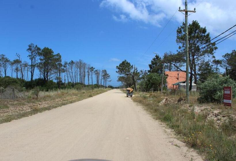 La Paloma Containers Suites