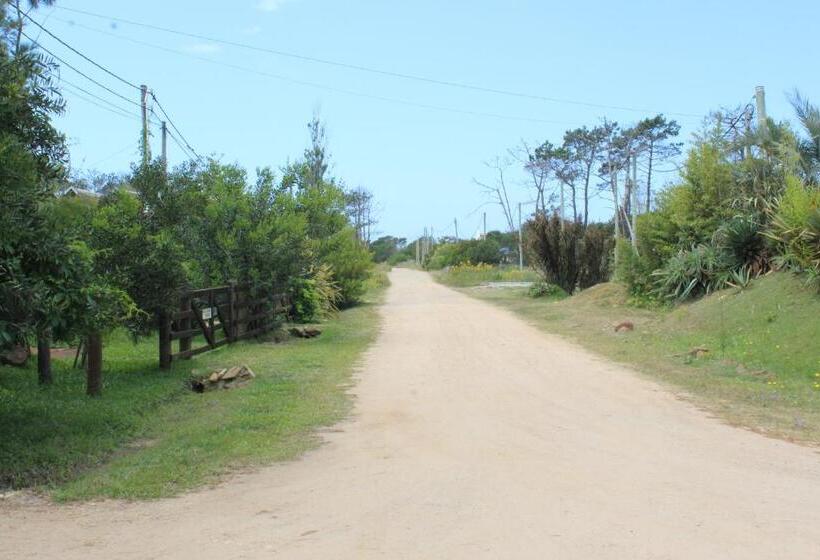 La Paloma Containers Suites