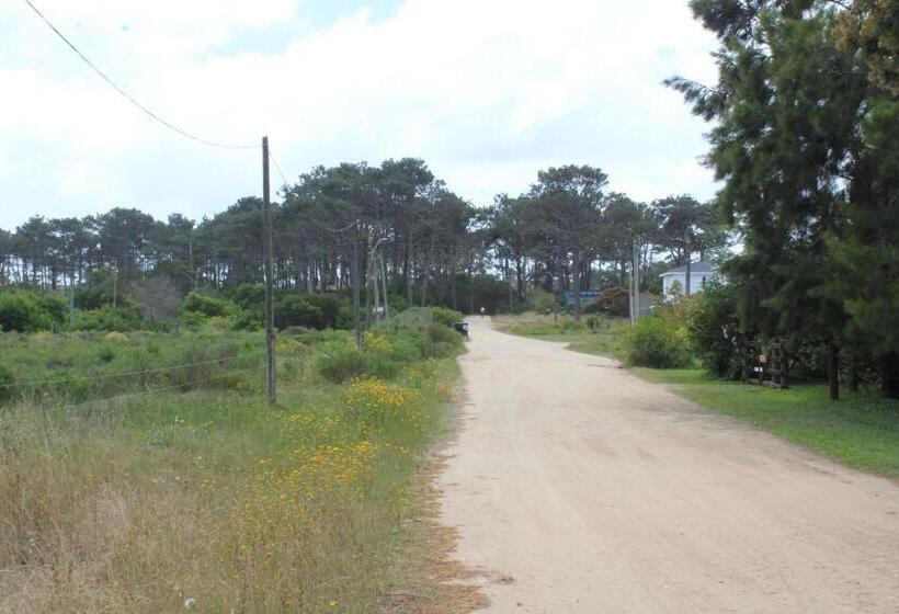 La Paloma Containers Suites