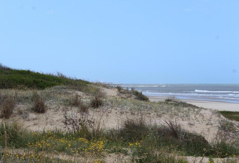 La Paloma Containers Suites