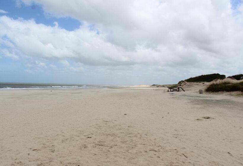 La Paloma Containers Suites