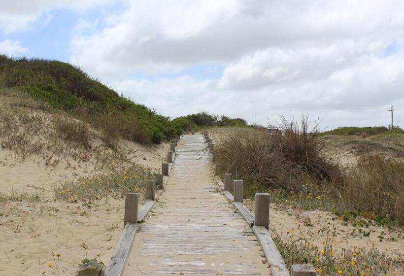 La Paloma Containers Suites