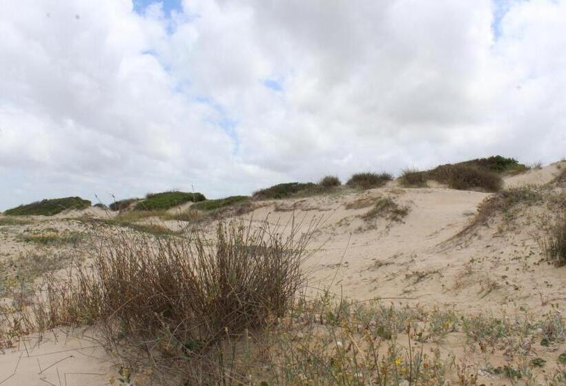 La Paloma Containers Suites