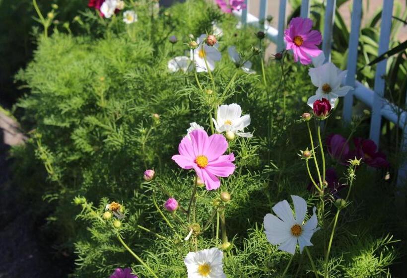 ペンション Ons Dorpshuis Beaufort West