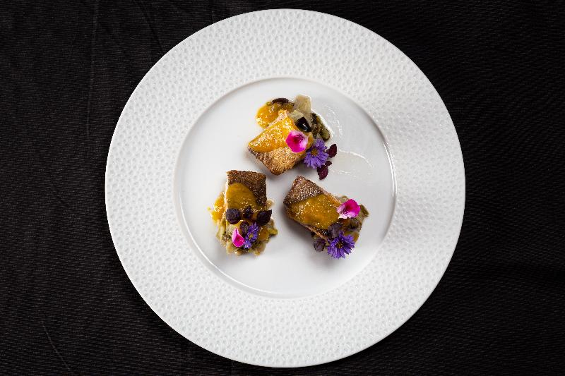 The Sense Experience Resort