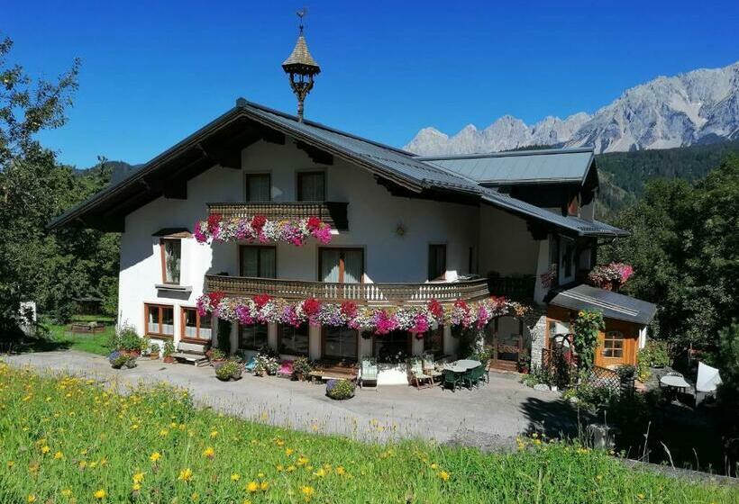 هاستل Schererhof