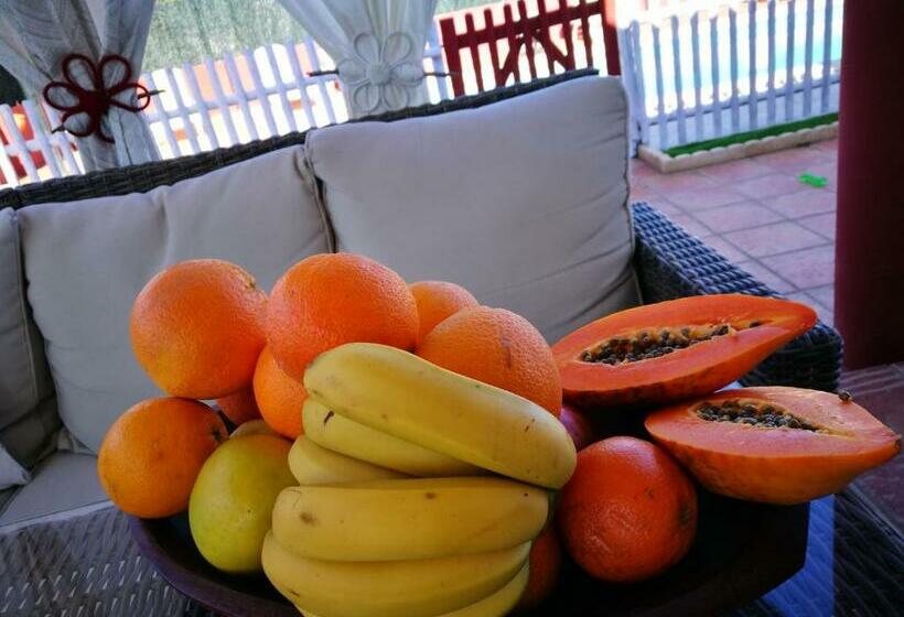 Bed and Breakfast Le Ali Del Cuore