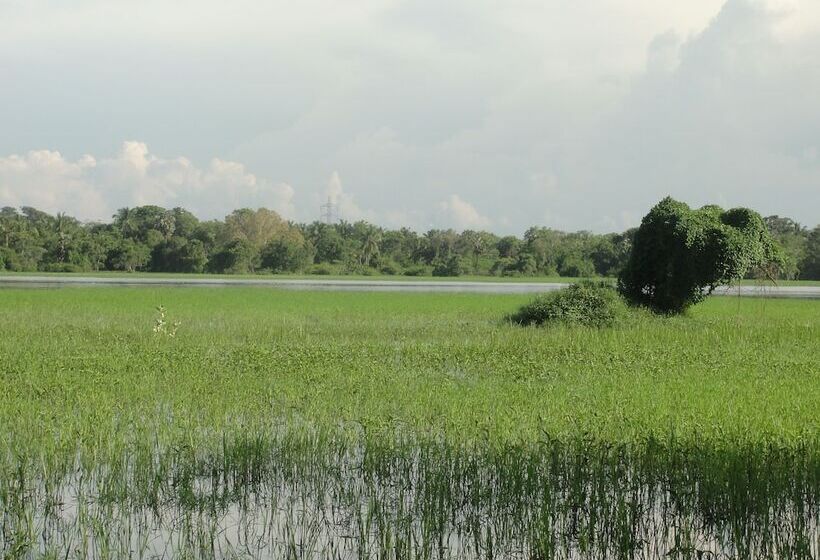 Bed and Breakfast Kulama The Lake Villa