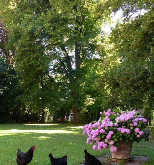 Bed And Breakfast Unter Den Linden