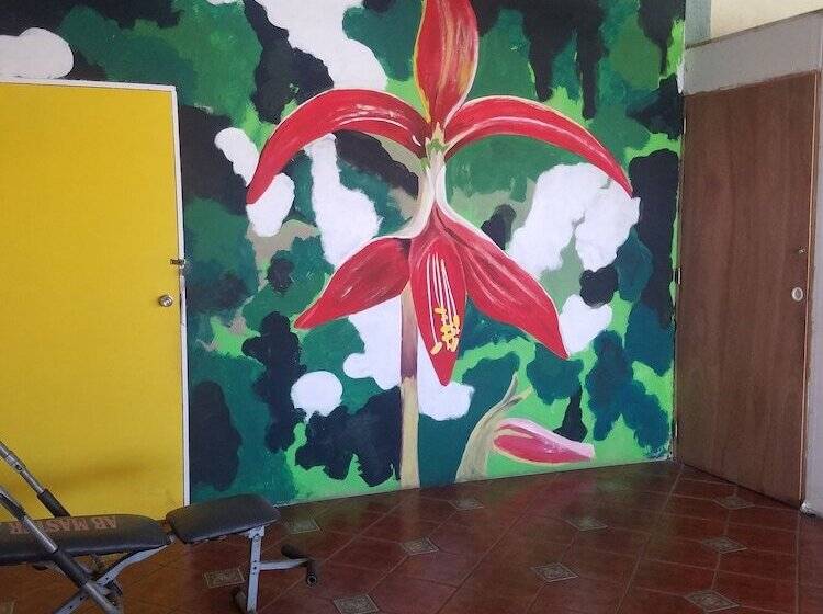 Hostel Enjoy Vallarta 19