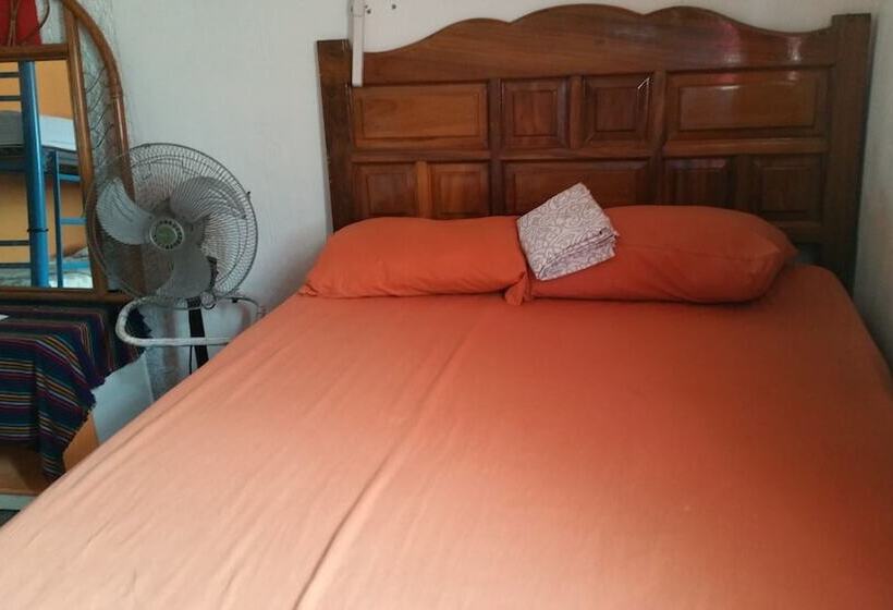 Hostel Enjoy Vallarta 19